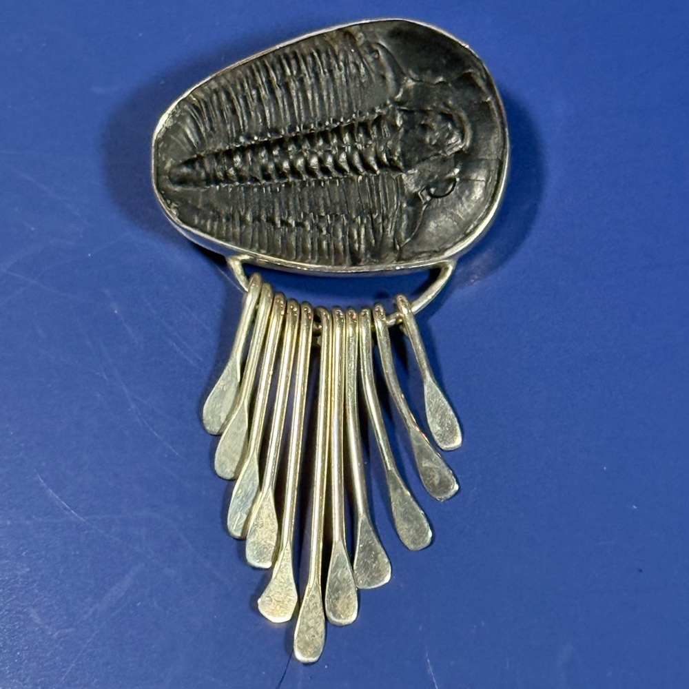 Vintage 925 Sterling Silver Trilobite Fossil Brooch – 2.5” – Pin & Pendant Hook